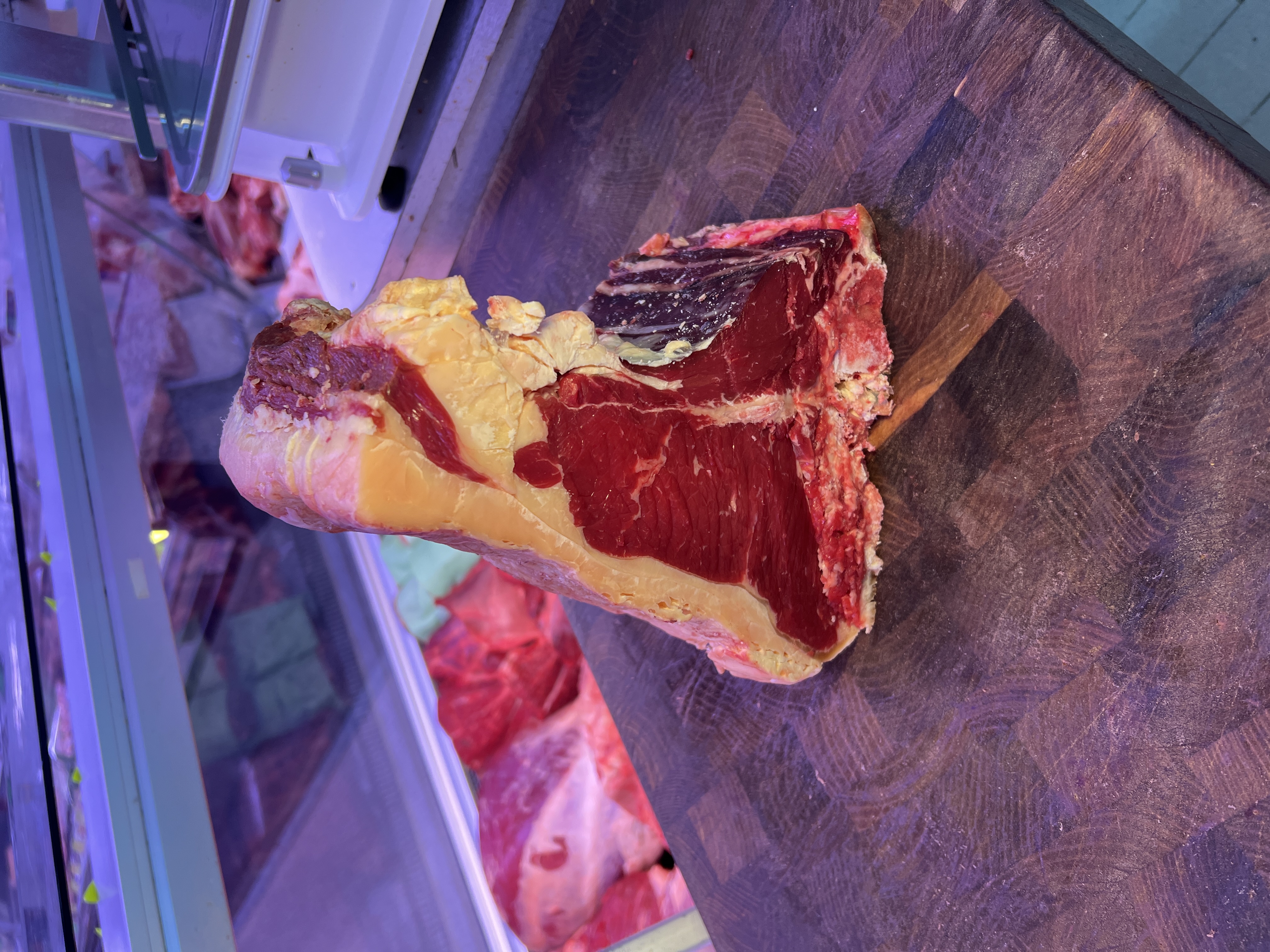 T-bone Scottona